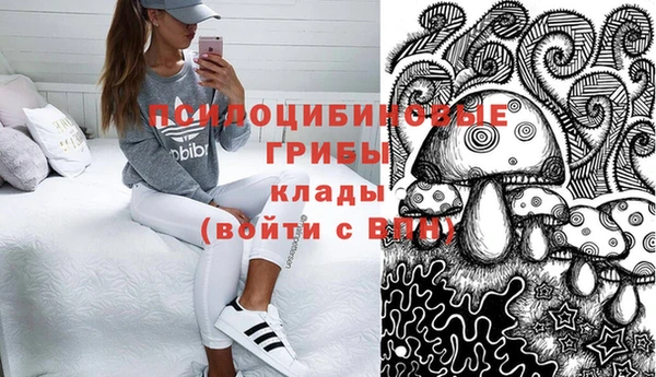 PSILOCYBIN Абаза