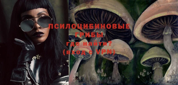 шишки Абдулино